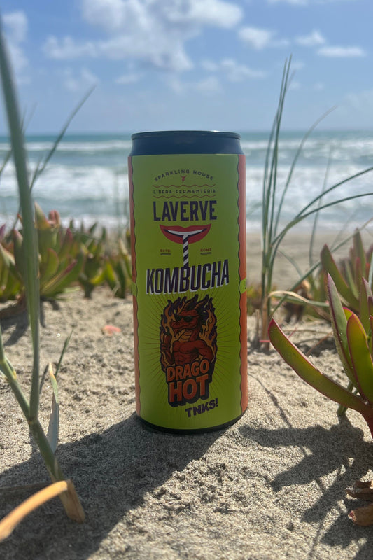 Kombucha Drago Hot (cartone 12 lattine 0,33)